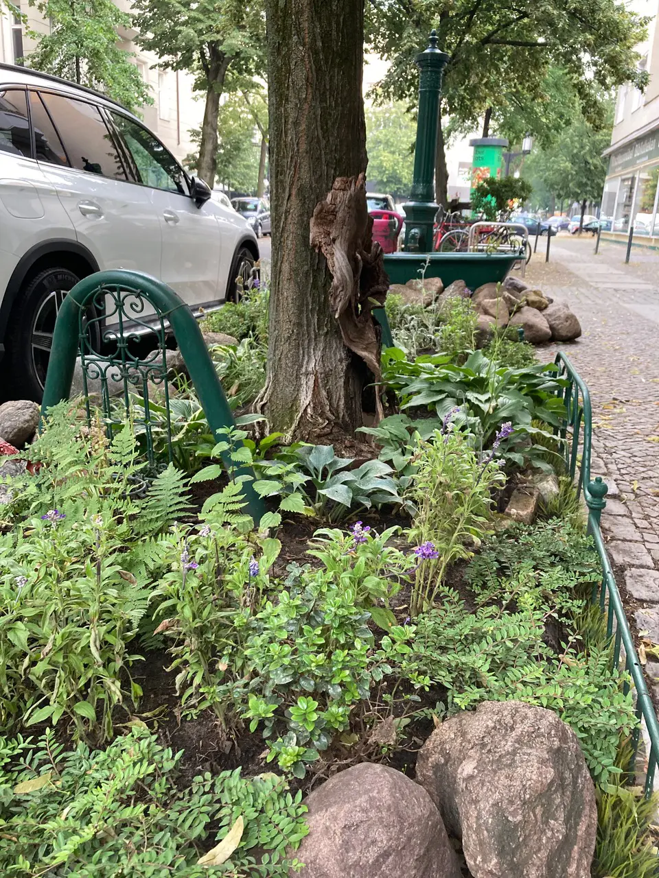 Die am schönsten gestalteten Baumscheiben gibt es in der Berliner Fritschestraße. 