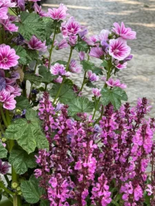 Glück am Wegesrand