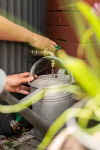 Jeder Tropfen Regenwasser zählt (Foto: Benjamin Pritzkuleit)